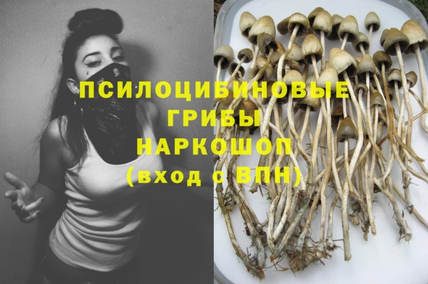соль курить ск Алексеевка