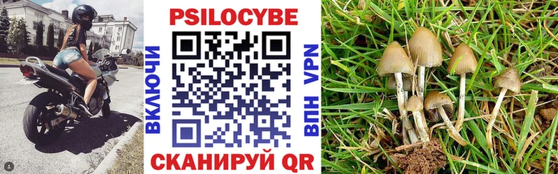 blacksprut ONION  Среднеколымск  Галлюциногенные грибы Cubensis 